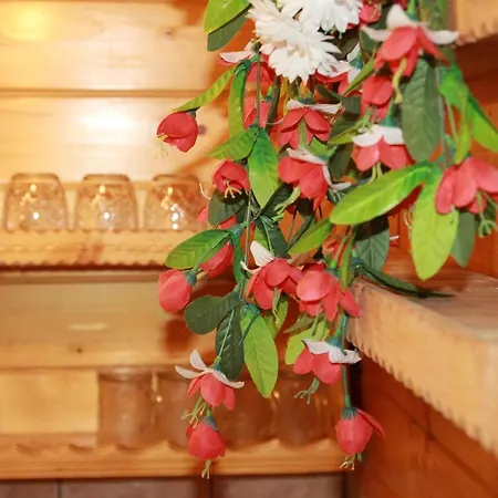 シャレー Pod Zielonym Lasem *