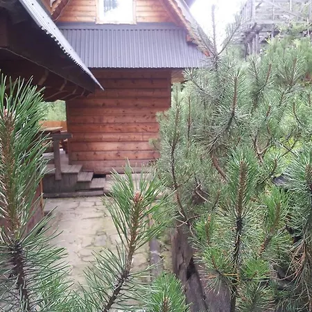 Pod Zielonym Lasem シャレー