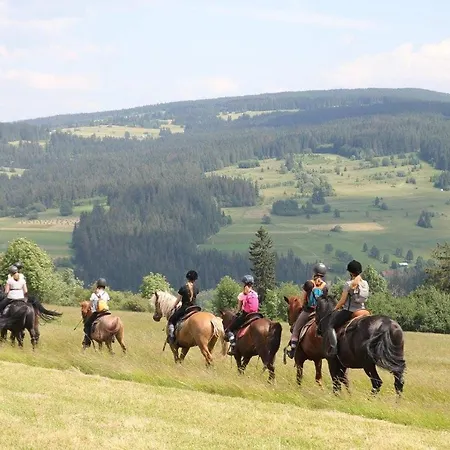 シャレー Pod Zielonym Lasem