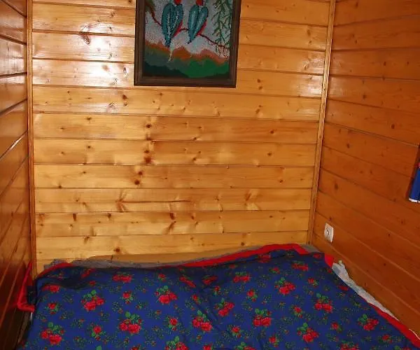 Chalet Pod Zielonym Lasem Zakopane