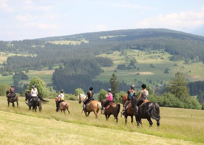 Chalet Pod Zielonym Lasem