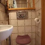 Pod Zielonym Lasem Chalet *