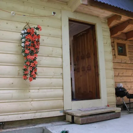 Chalet Pod Zielonym Lasem *