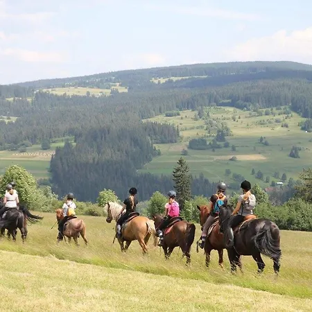 Alpesi faház Pod Zielonym Lasem