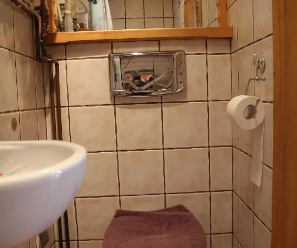 Pod Zielonym Lasem Domek alpejski *