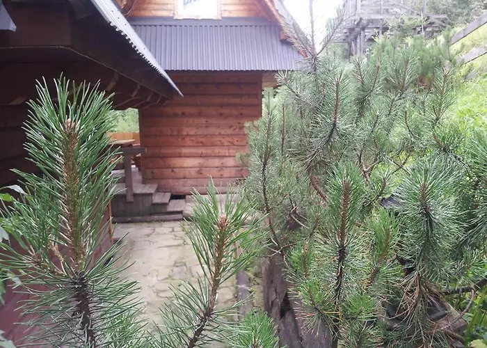 Pod Zielonym Lasem Domek alpejski